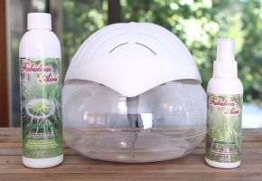 Remove Pet Odours Lemongrass Bundle 
